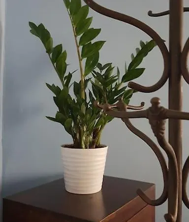 Blaues Im Scharfrichterhaus * Passau