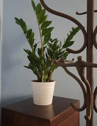 Blaues Im Scharfrichterhaus * Passavia